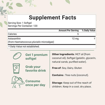 Liz’s Choice Bundle